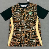 24-25 Ivory Coast Green Yellow Fans Training shirts