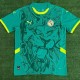 24-25 Senegal Away Fans Soccer Jersey