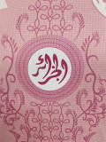 24-25 Algeria Pink Special Edition Player Version Training shirts #36