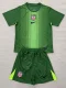 2025-26 USA Green Goalkeeper Kids Soccer Jersey