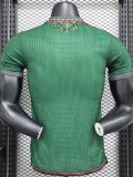 24-25 Mali Away Player Version Soccer Jersey