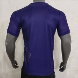 23-24 RMA Y-3 Purple Fans Soccer Jersey (胶标)