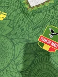 2025-26 Mali Green Player Version Soccer Jersey