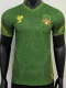 2025-26 Mali Green Player Version Soccer Jersey