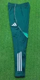 2025-26 Algeria Dark green Training Long Pants