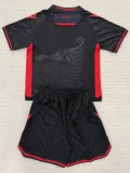 2025-26 Albania Third Kids Soccer Jersey