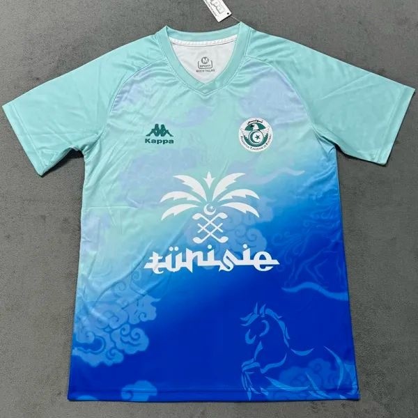 2025-26 Tunisia Blue Special Edition Training shirts 突尼斯