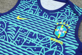 24-25 Brazil Fancy blue Tank top and shorts suit
