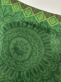 2025-26 Mali Green Player Version Soccer Jersey