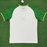25-26 Ireland Away Fans Soccer Jersey