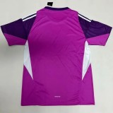 2025-26 Italy Purple GoalKeeper Soccer Jersey
