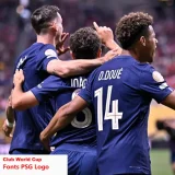 2025-26 PSG Home Have Stars Player Version Soccer jersey (前后带星)