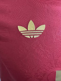 24-25 Bayern 125th Anniversary Player Version Soccer Jersey