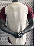 24-25 Bayern Khaki Brown Special Edition Player Version Soccer Jersey