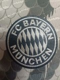 2025-26 Bayern Grey Joint Edition Player Version Soccer Jersey