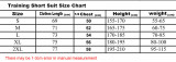 2025-26 Arsenal Brown Red Shorts Pants
