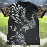 25-26 Liverpool Black Special Edition Fans Training shirts