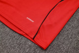 Liverpool Training Jersey Suit 2025/26 （半拉）