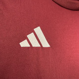 24-25 Aston Villa Home Fans Soccer Jersey