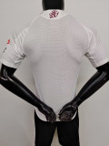 24-25 Aston Villa Away Player Version Soccer Jersey