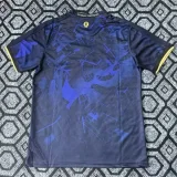 2025-26 Chelsea Champions Special Edition Training shirts