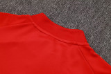 Liverpool Training Jersey Suit 2025/26 （半拉）