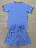24-25 Cardiff City Third Kids Soccer Jersey