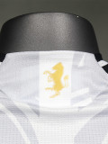 24-25 JUV Special Edition Player Version Soccer Jersey *黄金马蹄