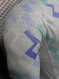 2025-26 Inter Milan Away Long Sleeve Player Version Soccer Jersey (长袖球员)