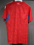25-26 Liverpool Special Edition Player Version Soccer Jersey (球员)