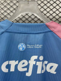 23-24 Palmeiras Pink Blue Special Edition Training shirts
