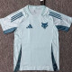25-26 Cruzeiro Blue Green Training shirts