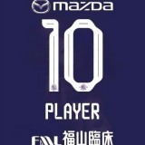 25-26 Sanfrecce Hiroshima Home Fans Soccer Jersey 广岛三箭