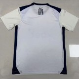 25-26 Botafogo Beige Training shirts