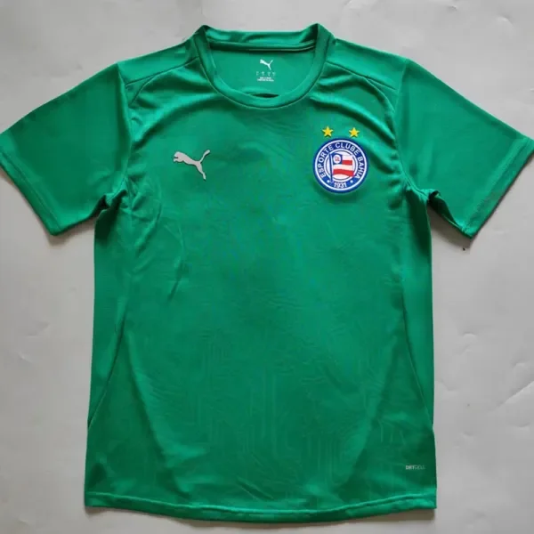 2025-26 BaHia Green Goalkeeper Soccer Jersey