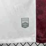 2025-26 Fluminense Away Fans Soccer Jersey