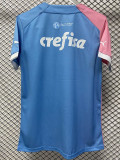 23-24 Palmeiras Pink Blue Special Edition Training shirts