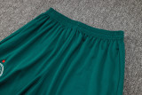 24-25 Palmeiras Dark green Jacket Tracksuit #A742
