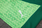 24-25 Palmeiras Light green Training Short Suit