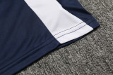 2024 AD Royal blue Training Short Suit