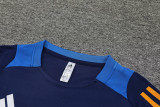 2024 AD Royal blue Training Short Suit