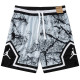 C2439 Jordan Grey Casual Short Pants