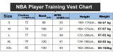 22-23 WARRIORS Blue NBA Training Vest