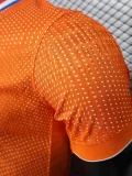 2025-26 Netherlands Orange Player Version Soccer Jersey