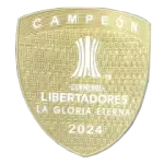 2025-26 Botafogo Blue Goalkeeper Soccer Jersey