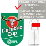 24-25 Newcastle Home 1:1 Fans Soccer Jersey