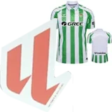 24-25 Real Betis Home Fans Soccer Jersey *新广告