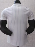 25-26 CHE White Casual Edition Player Version Training shirts