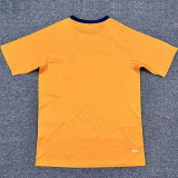 25-26 Cardiff City Third Fans Soccer Jersey