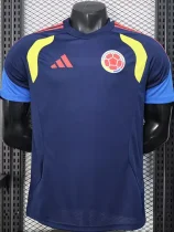 26-27 Colombia Royal blue Player Version Training shirts